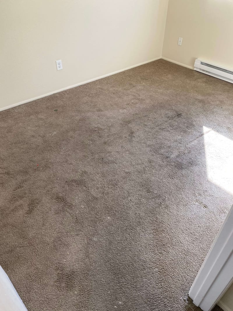 Montevideo Apartments job