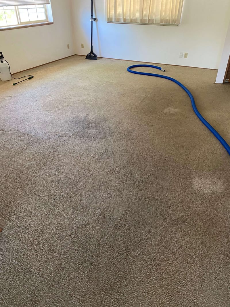 Michael job