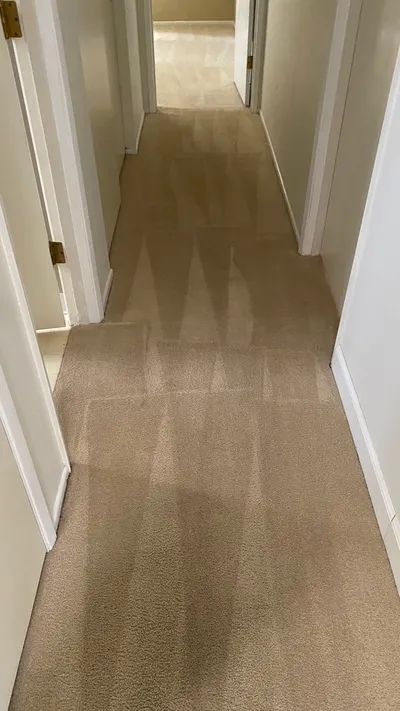Bonnie job
