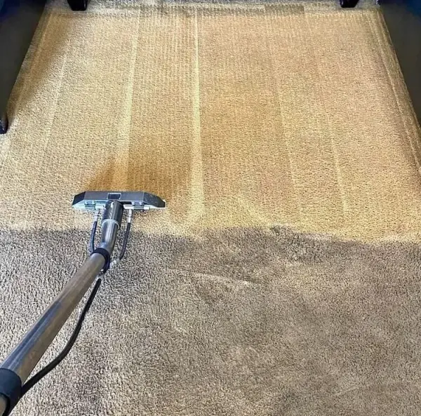 Carpet Cleaning service